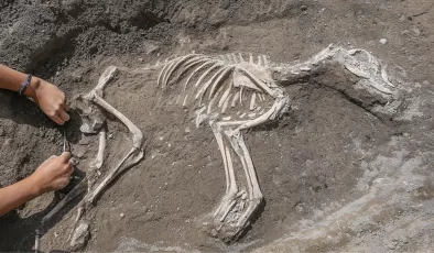 Antropoloji nedir? Antropolojinin alanları ve topluma sağladığı faydalar
