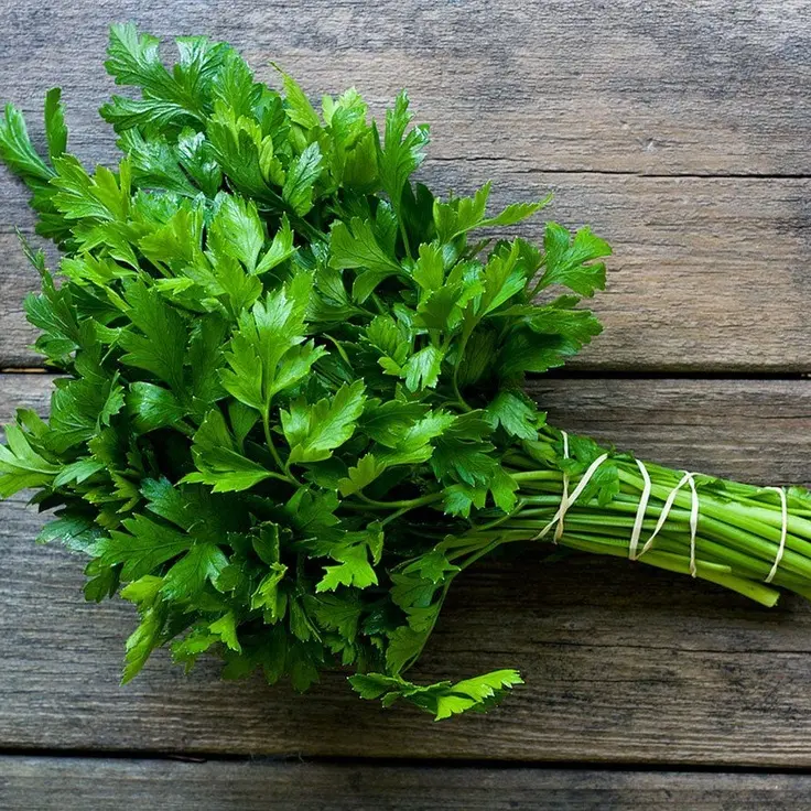 Maydanozun Faydaları Nelerdir?