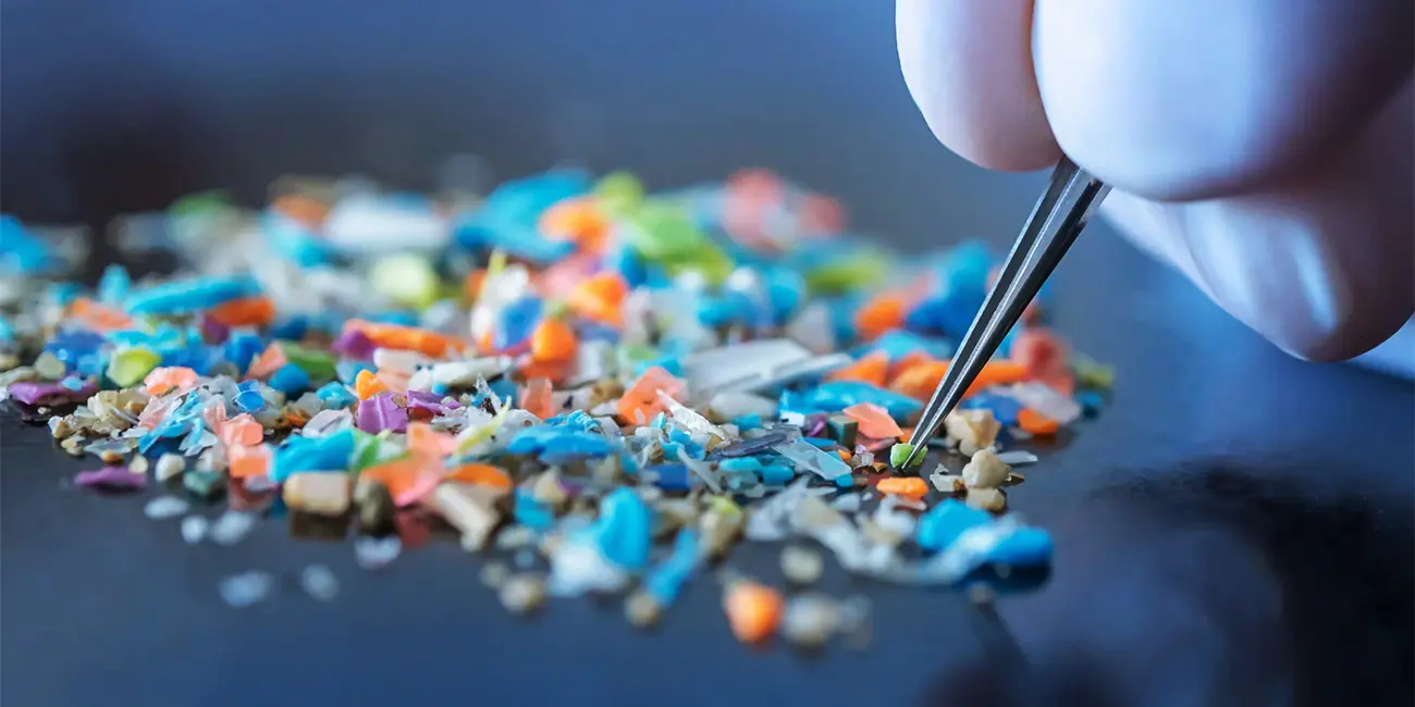 Mikroplastikler Atardamarları Tıkıyor Olabilir